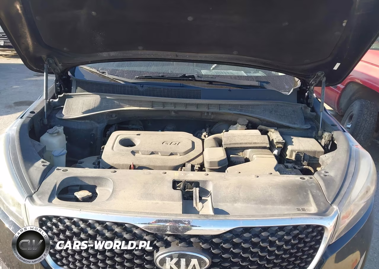 2016 Kia Sorento 2.4L Lx VIN:5XYPG4A36GG113823 - 10