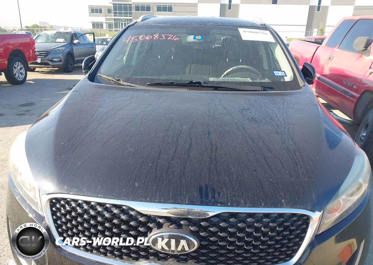 2016 Kia Sorento 2.4L Lx VIN:5XYPG4A36GG113823 - 6