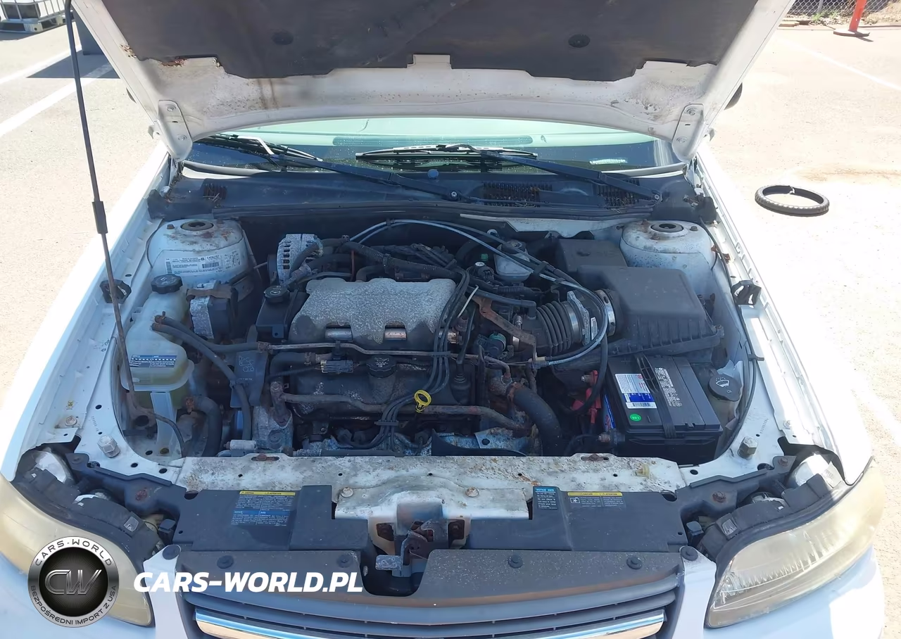 2002 Chevrolet Malibu VIN:1G1ND52J52M682875 - 10