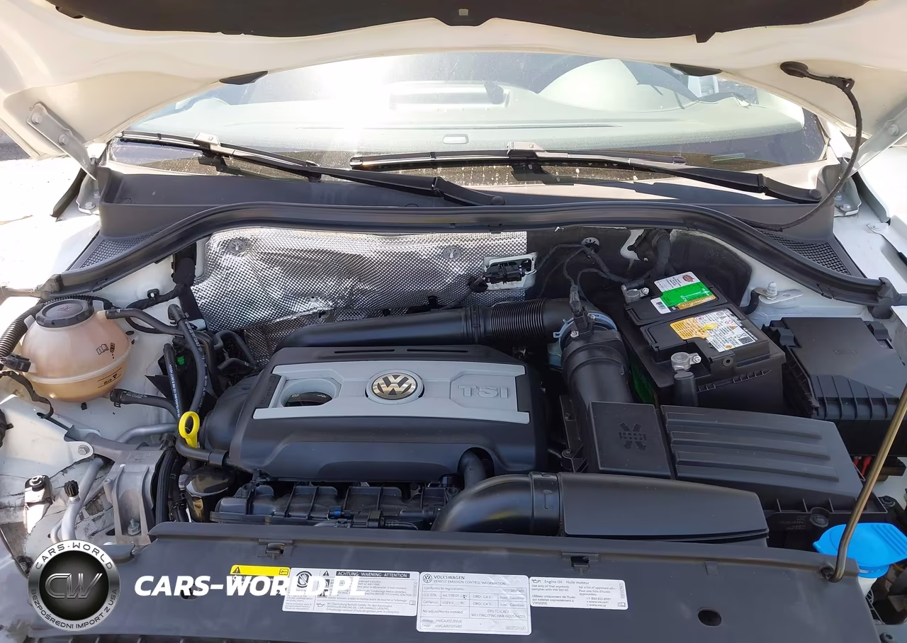 2017 Volkswagen Tiguan 2.0T-2.0T S VIN:WVGAV7AX9HK054340 - 10