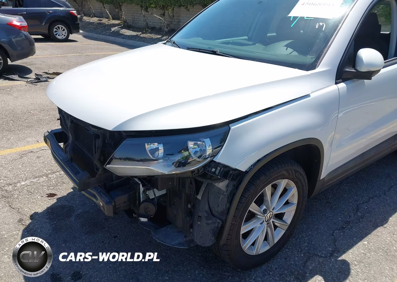 2017 Volkswagen Tiguan 2.0T-2.0T S VIN:WVGAV7AX9HK054340 - 18