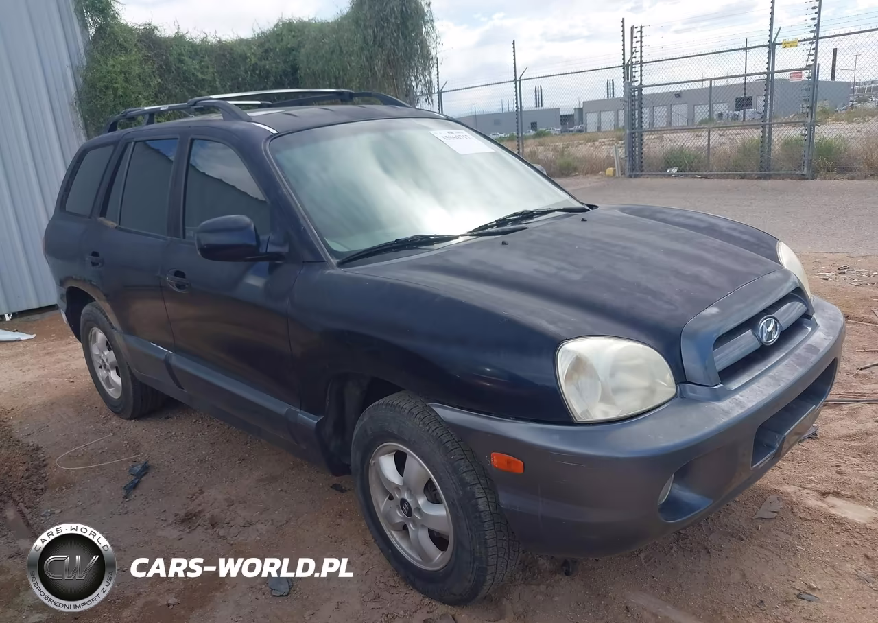 Główne zdjęcie 2005 Hyundai Santa Fe Gls