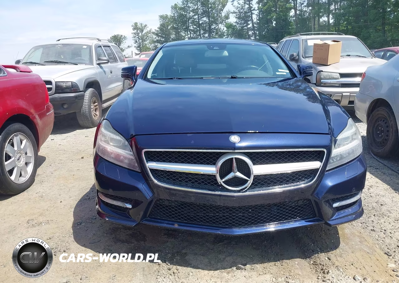 2014 Mercedes-Benz Cls 550 VIN:WDDLJ7DB4EA098696 - 12