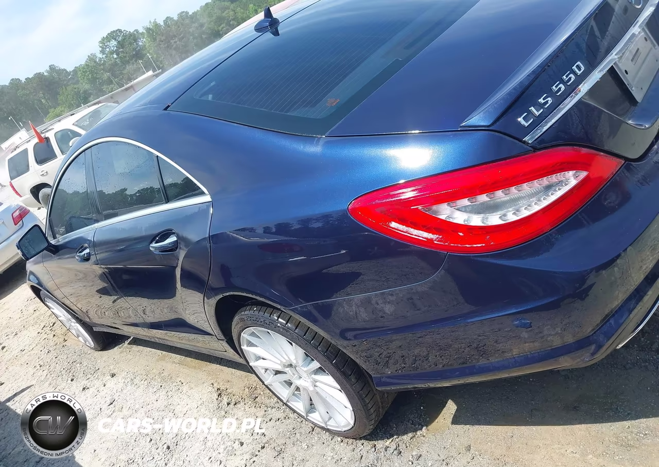2014 Mercedes-Benz Cls 550 VIN:WDDLJ7DB4EA098696 - 14