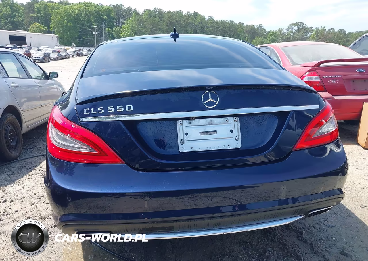 2014 Mercedes-Benz Cls 550 VIN:WDDLJ7DB4EA098696 - 16