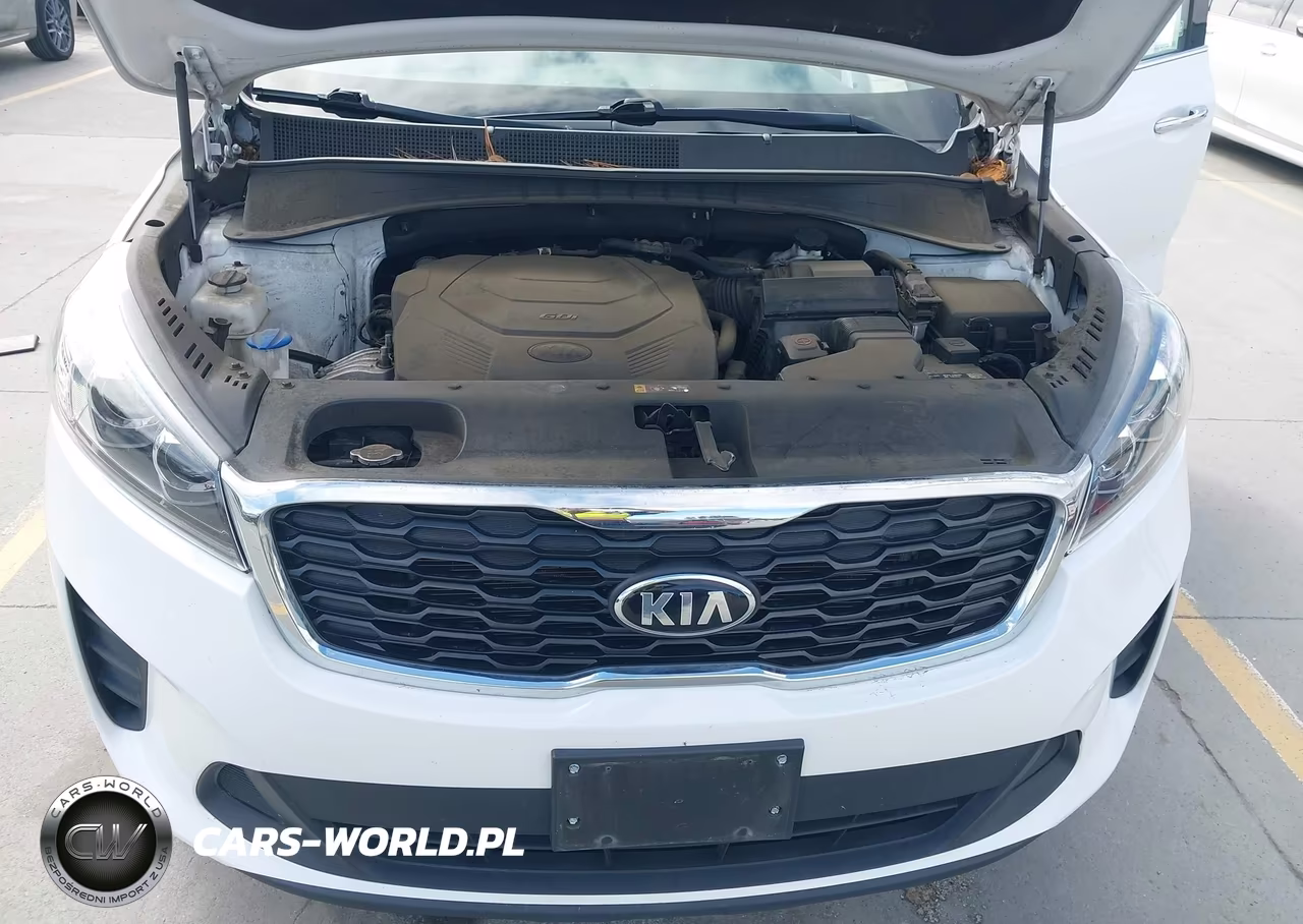 2019 Kia Sorento 3.3L Lx VIN:5XYPG4A56KG561876 - 10