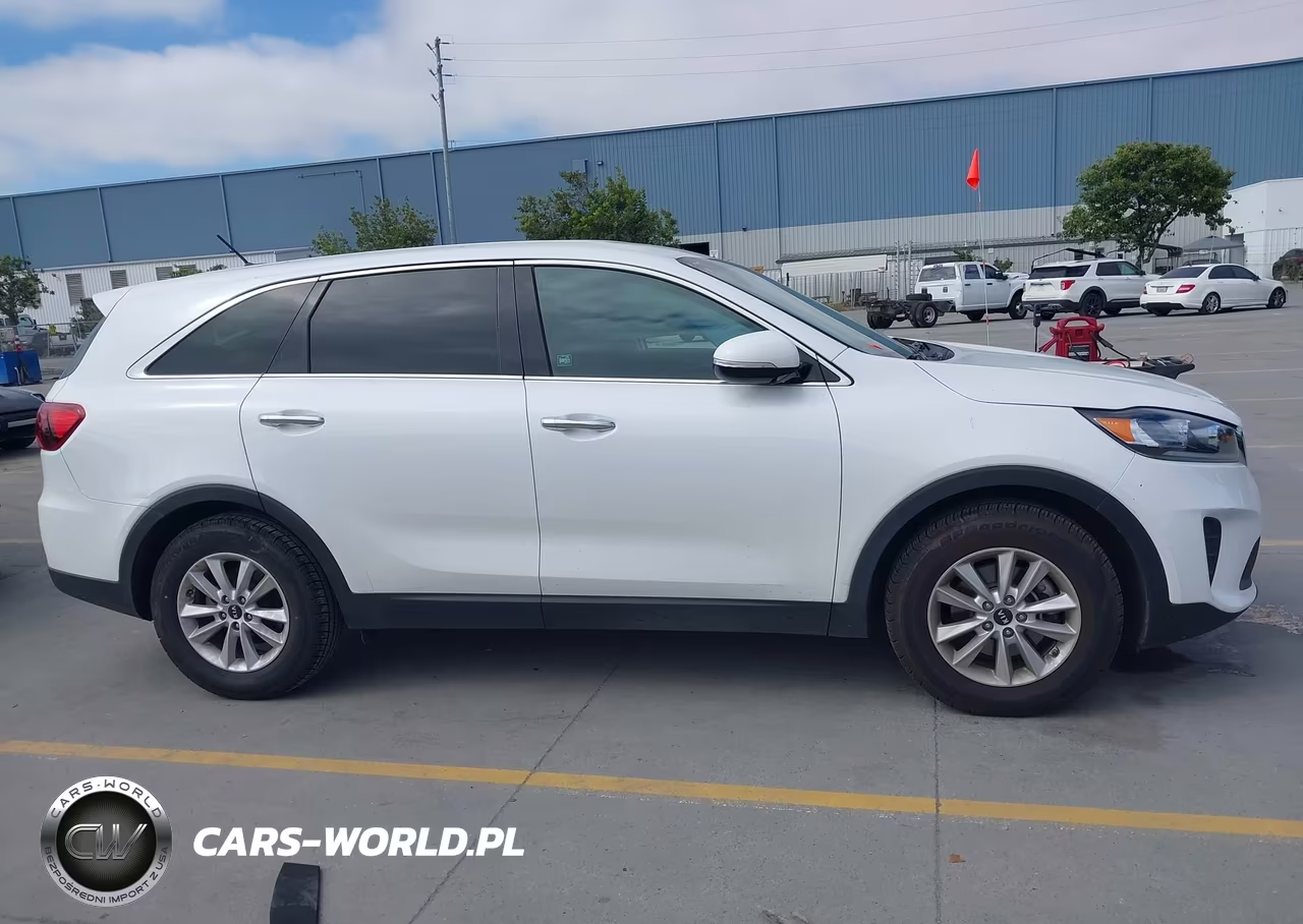 2019 Kia Sorento 3.3L Lx VIN:5XYPG4A56KG561876 - 13
