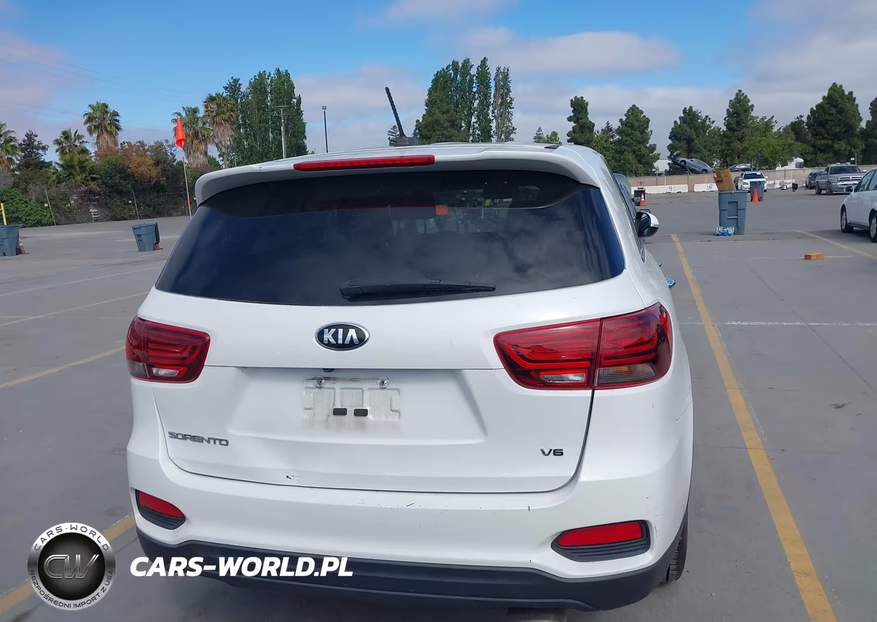 2019 Kia Sorento 3.3L Lx VIN:5XYPG4A56KG561876 - 16