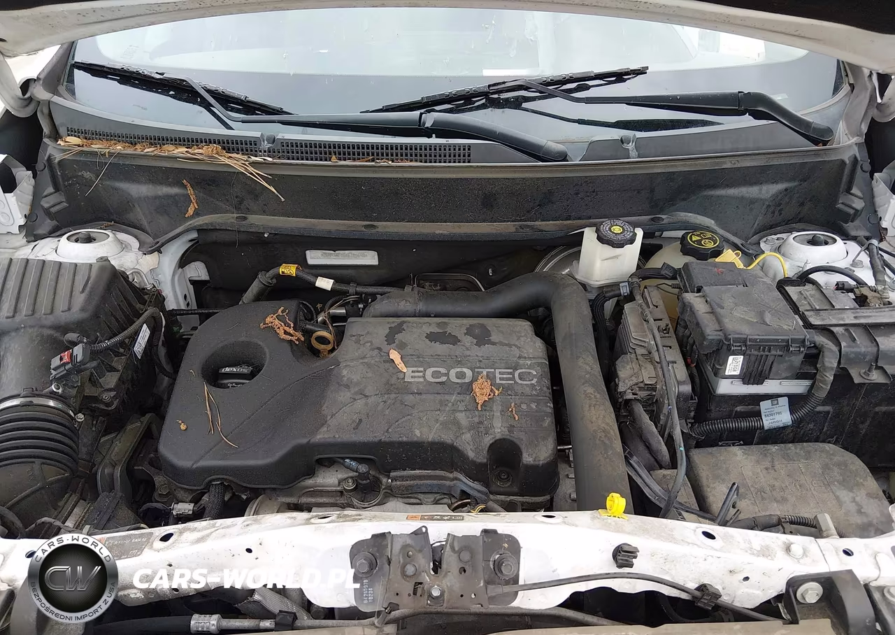 2019 Chevrolet Equinox Lt VIN:2GNAXKEV6K6185690 - 10