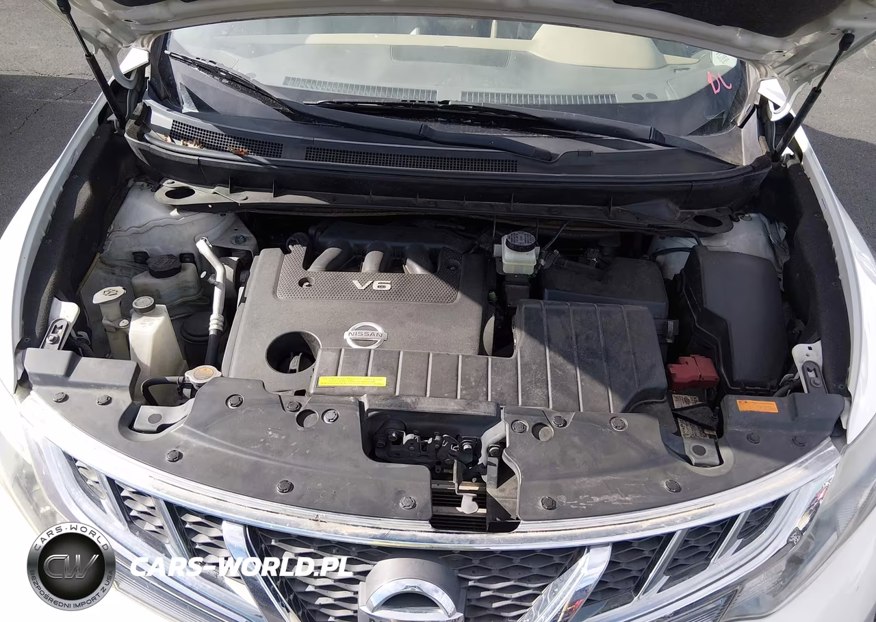 2012 Nissan Murano Le VIN:JN8AZ1MW2CW220101 - 10