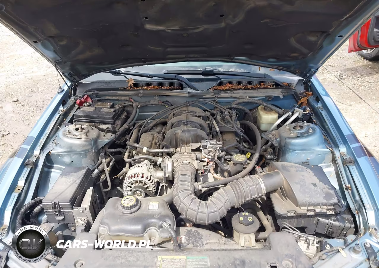 2006 Ford Mustang V6 VIN:1ZVFT80NX65228088 - 10