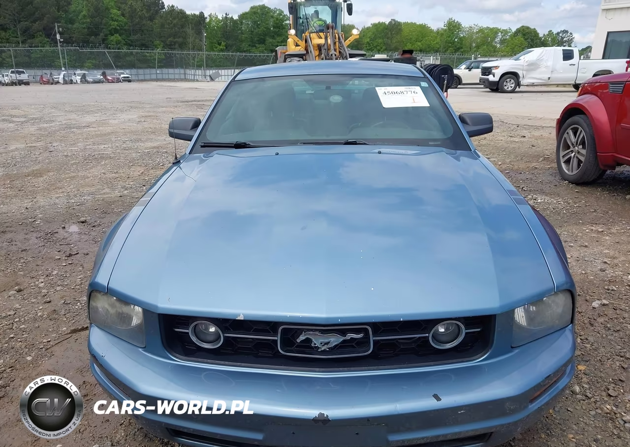 2006 Ford Mustang V6 VIN:1ZVFT80NX65228088 - 6