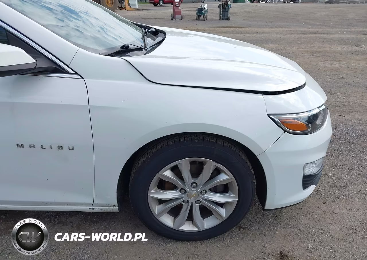 2020 Chevrolet Malibu Fwd Lt VIN:1G1ZD5ST9LF086385 - 19