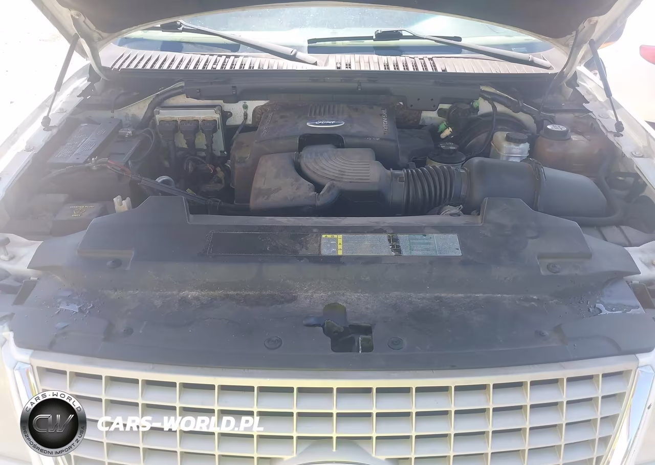 2003 Ford Expedition Eddie Bauer VIN:1FMRU17LX3LA45785 - 10