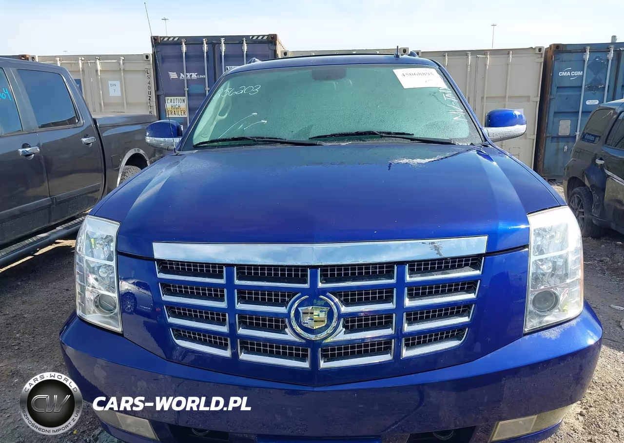 2010 Cadillac Escalade Ext Luxury VIN:3GYVKMEF4AG256203 - 12