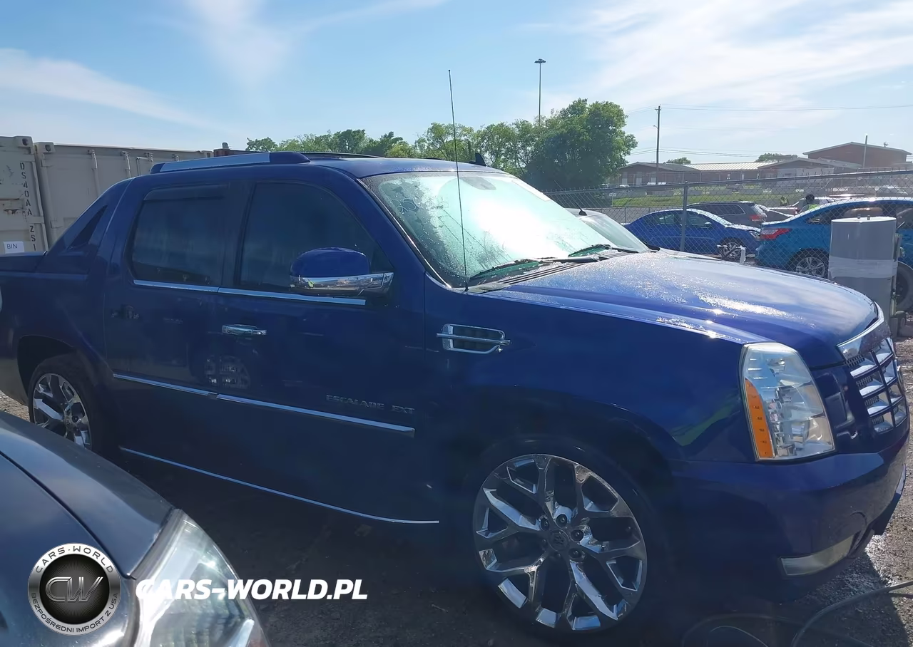 2010 Cadillac Escalade Ext Luxury VIN:3GYVKMEF4AG256203 - 13