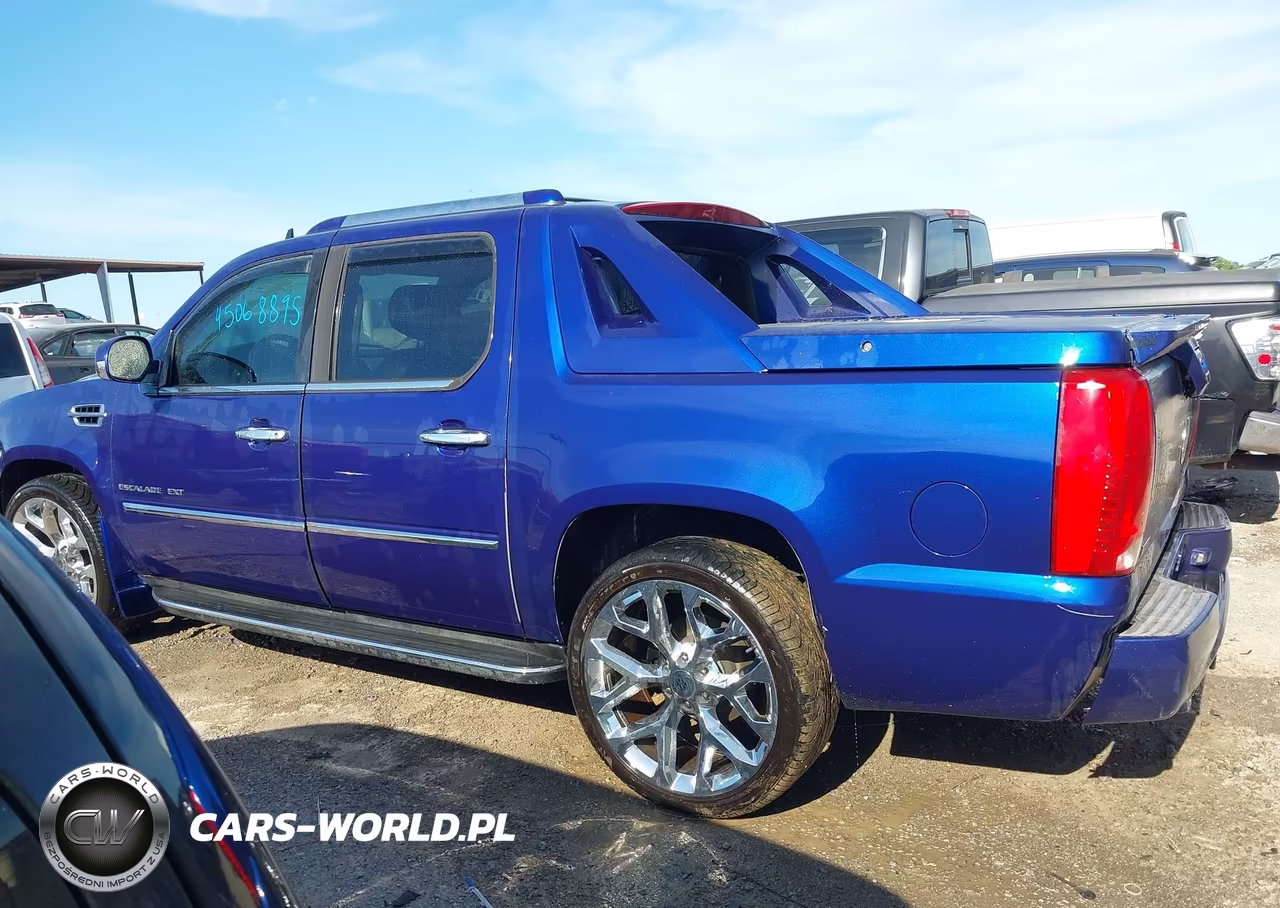 2010 Cadillac Escalade Ext Luxury VIN:3GYVKMEF4AG256203 - 14