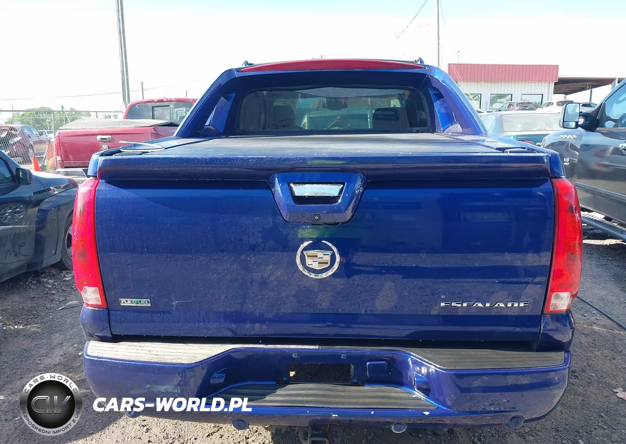 2010 Cadillac Escalade Ext Luxury VIN:3GYVKMEF4AG256203 - 16