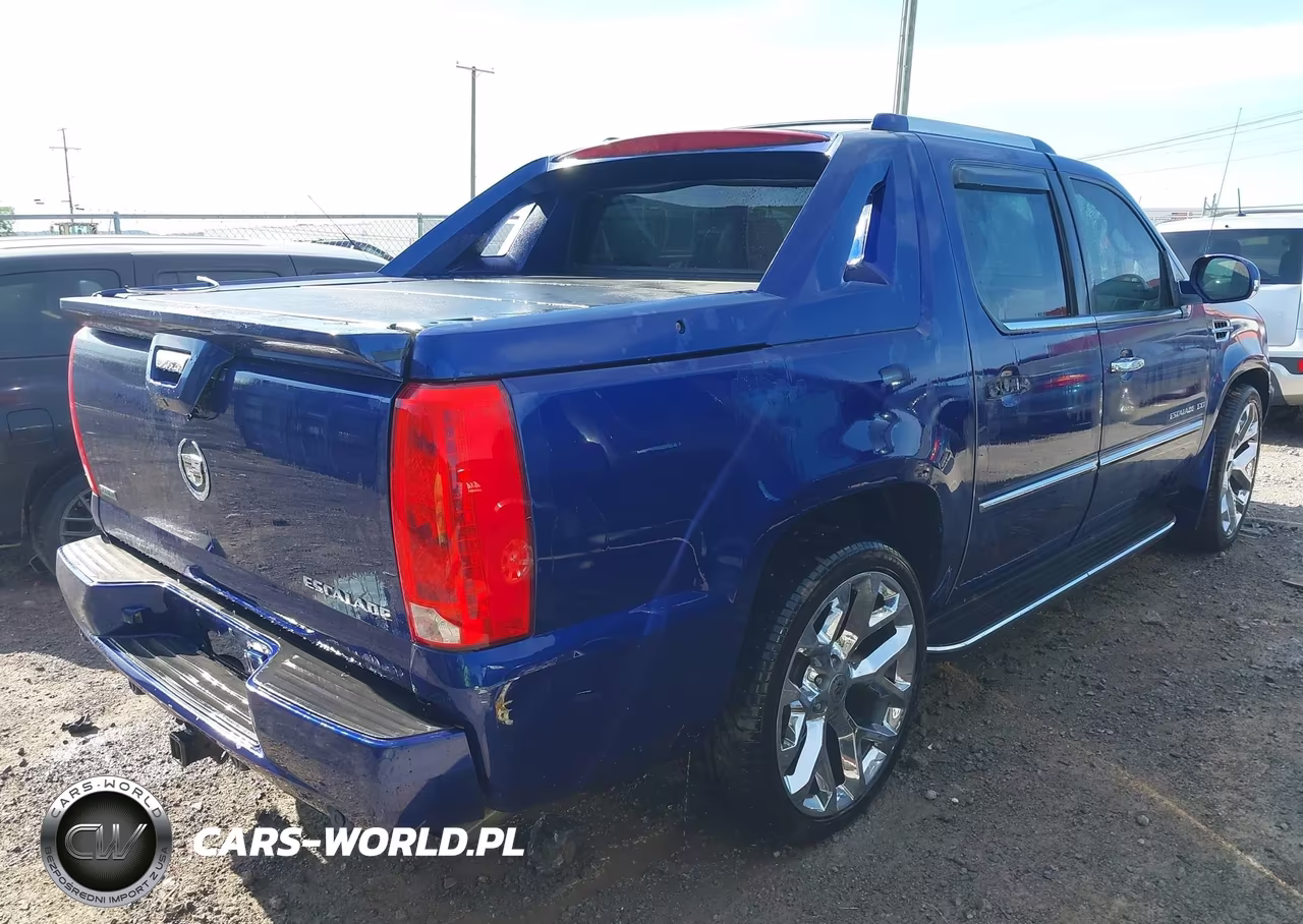 2010 Cadillac Escalade Ext Luxury VIN:3GYVKMEF4AG256203 - 4