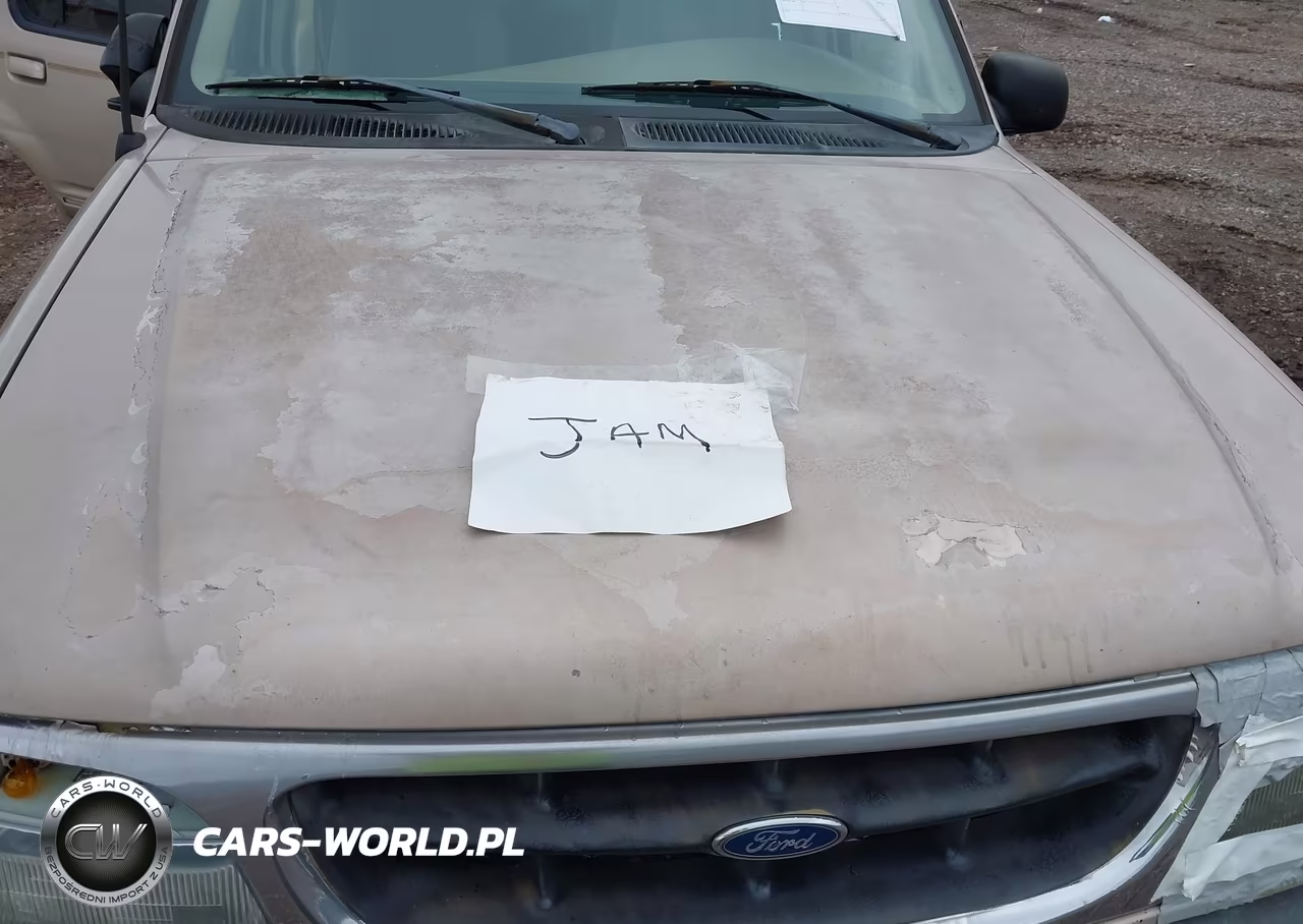 1998 Ford Explorer Eddie Bauer-Limited-Xlt VIN:1FMZU35P5WUA08594 - 10