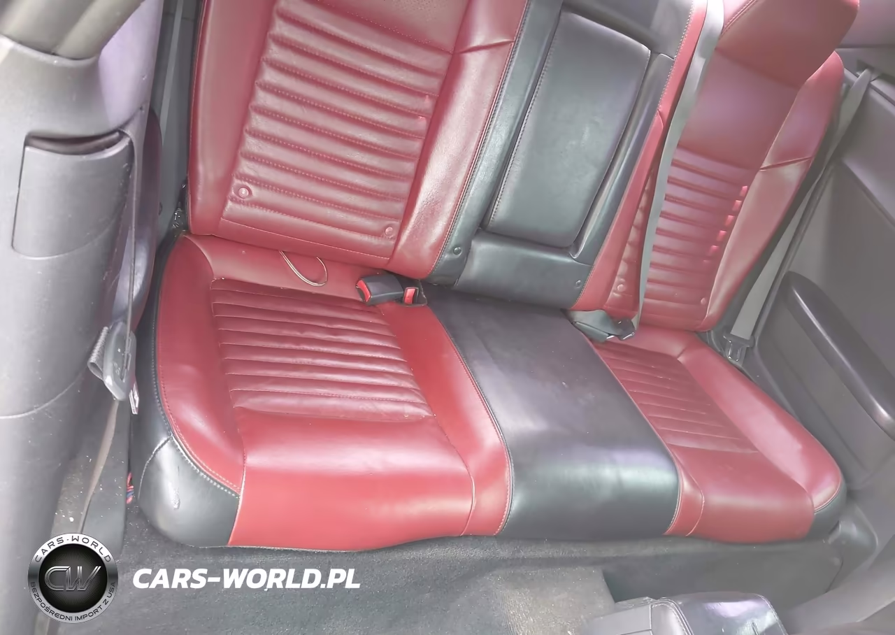 2013 Dodge Challenger Rallye Redline VIN:2C3CDYAG9DH679297 - 8