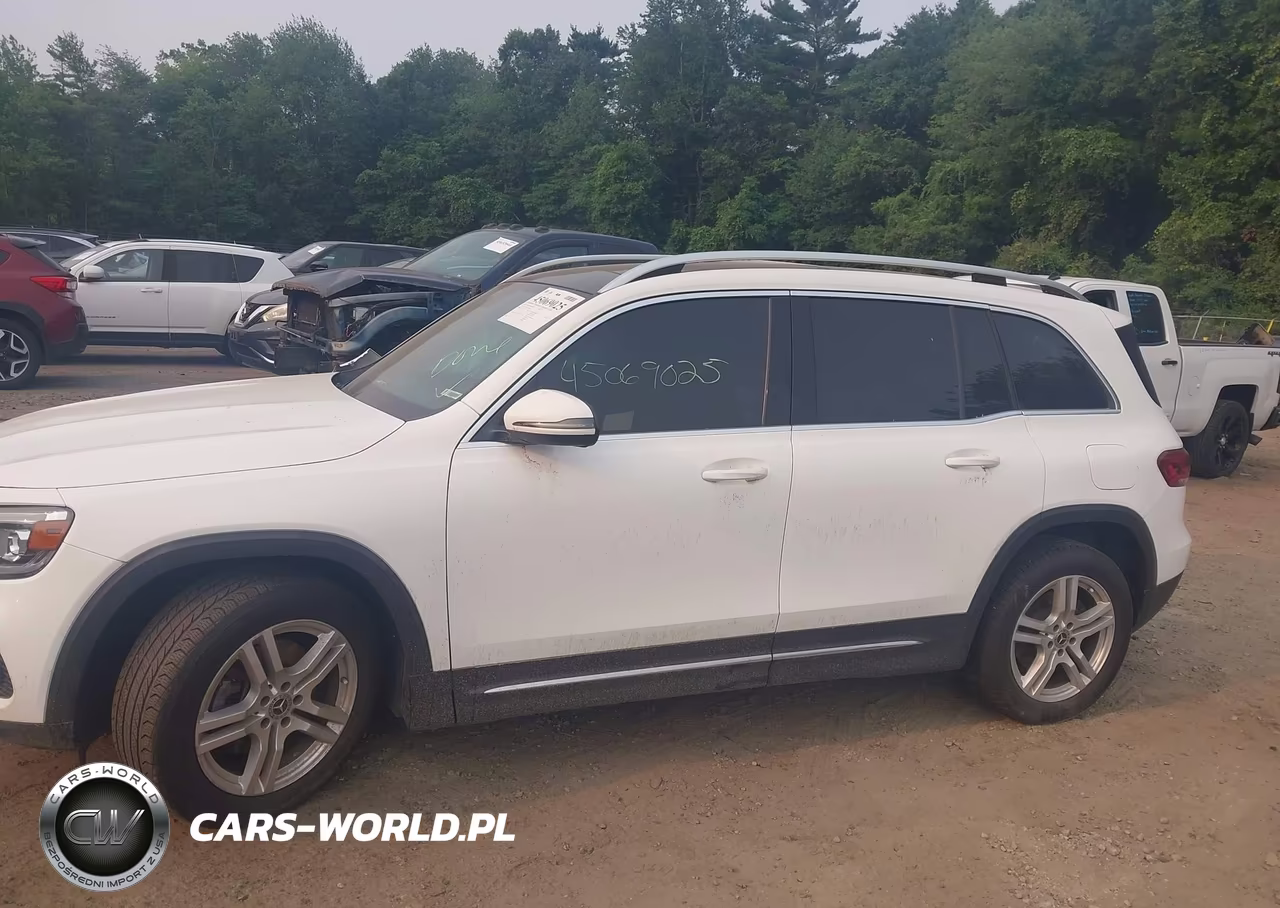 2020 Mercedes-Benz Glb 250 4Matic VIN:W1N4M4HB7LW045000 - 12