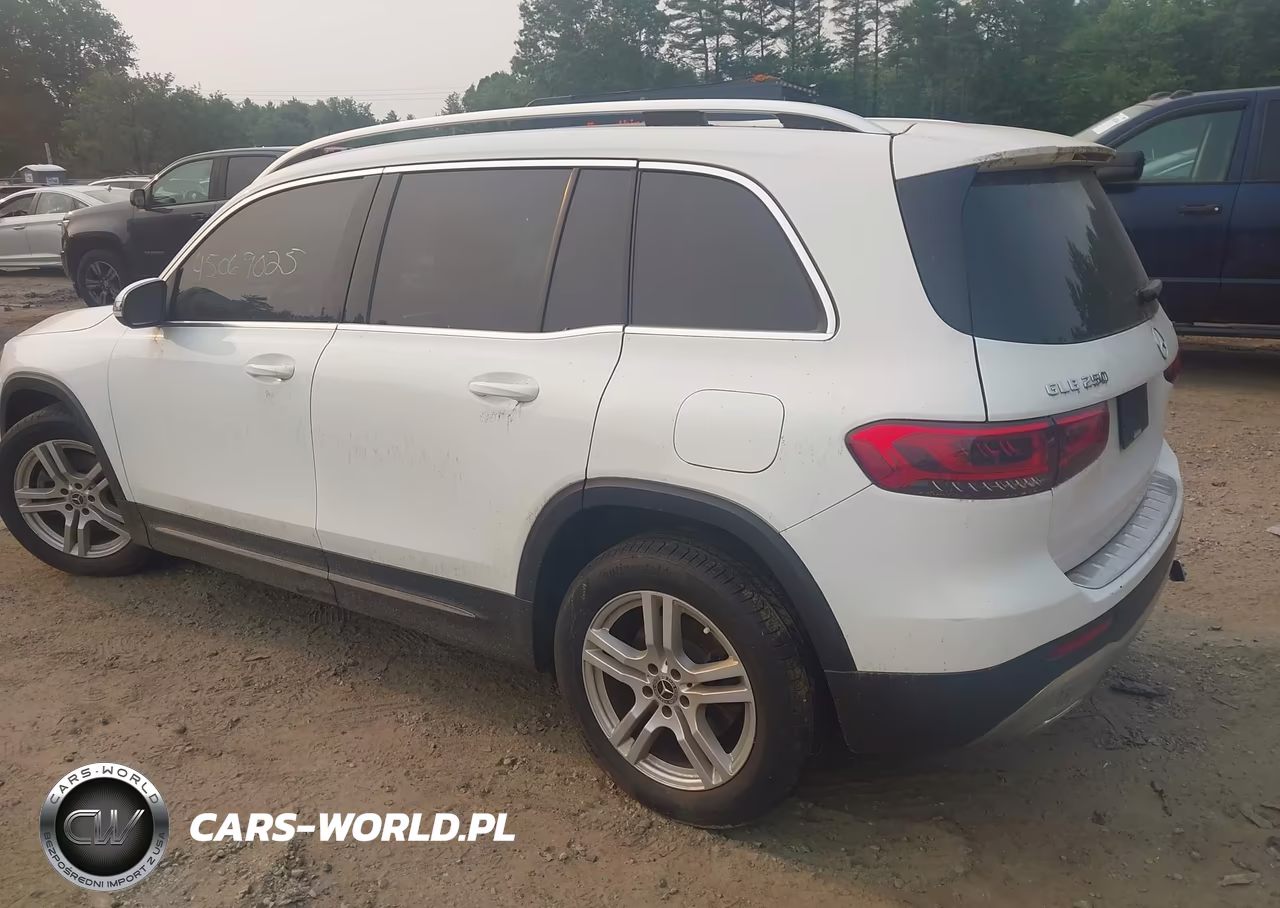 2020 Mercedes-Benz Glb 250 4Matic VIN:W1N4M4HB7LW045000 - 3