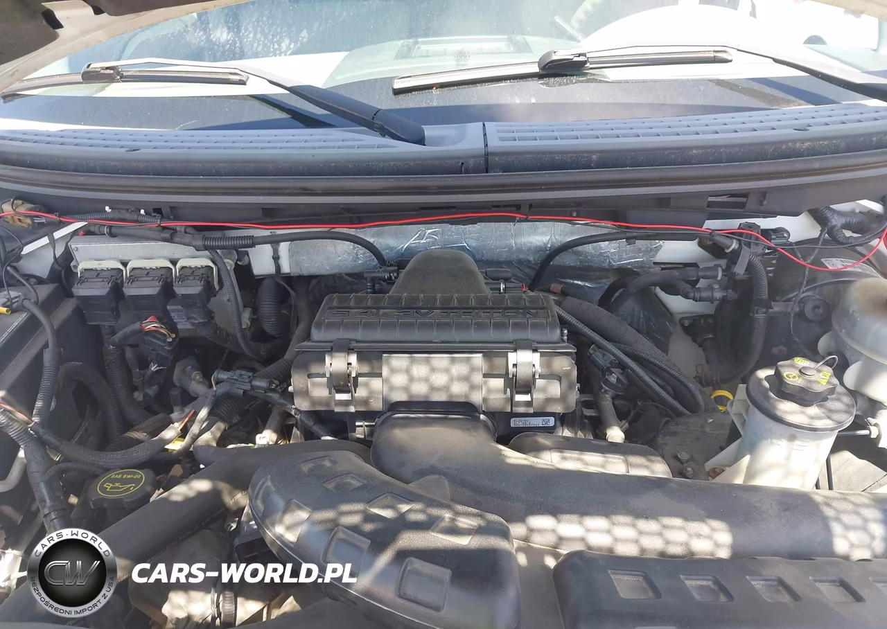 2006 Ford F-150 Fx4-Lariat-Xl-Xlt VIN:1FTPX14526NB15331 - 10