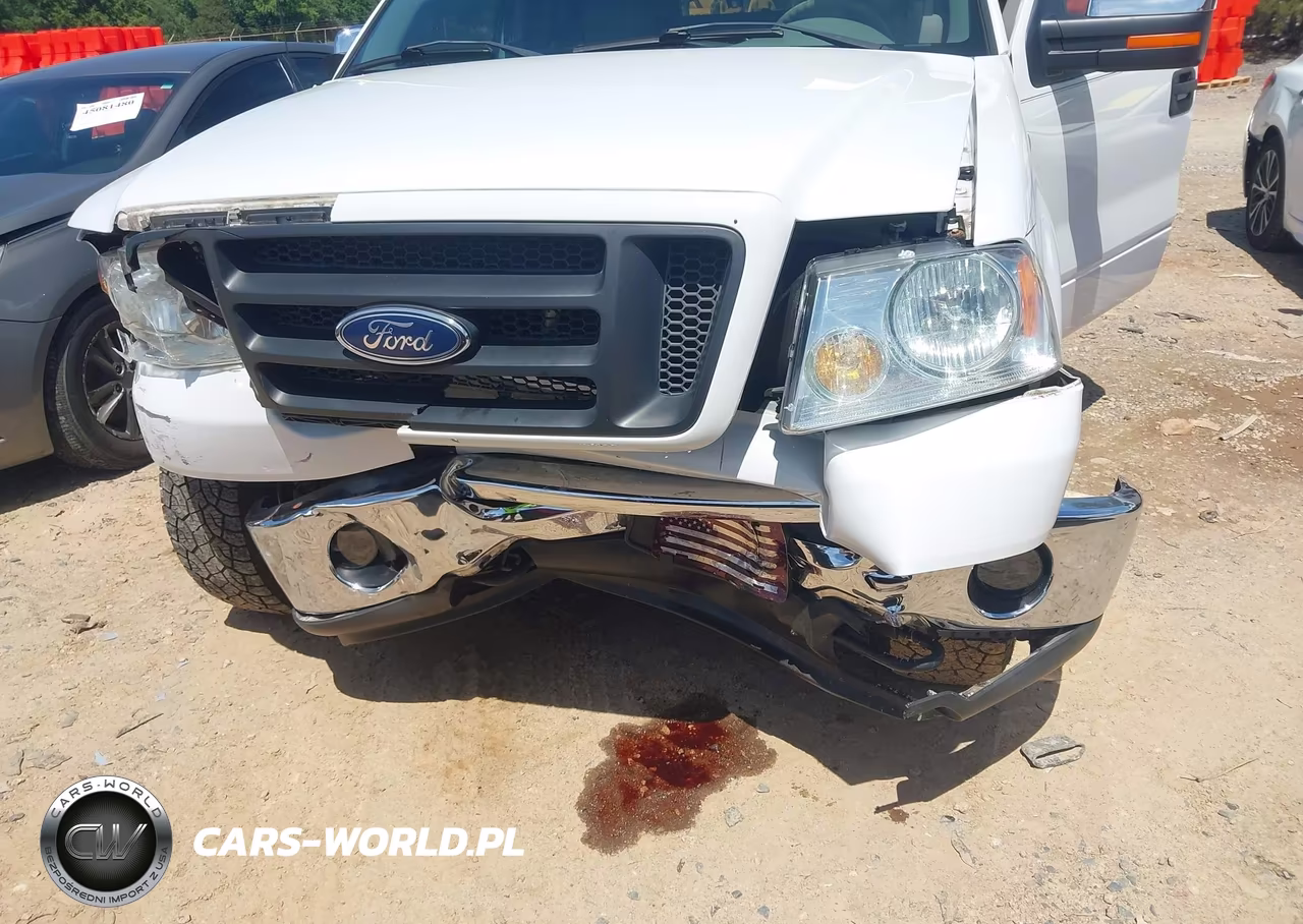 2006 Ford F-150 Fx4-Lariat-Xl-Xlt VIN:1FTPX14526NB15331 - 6