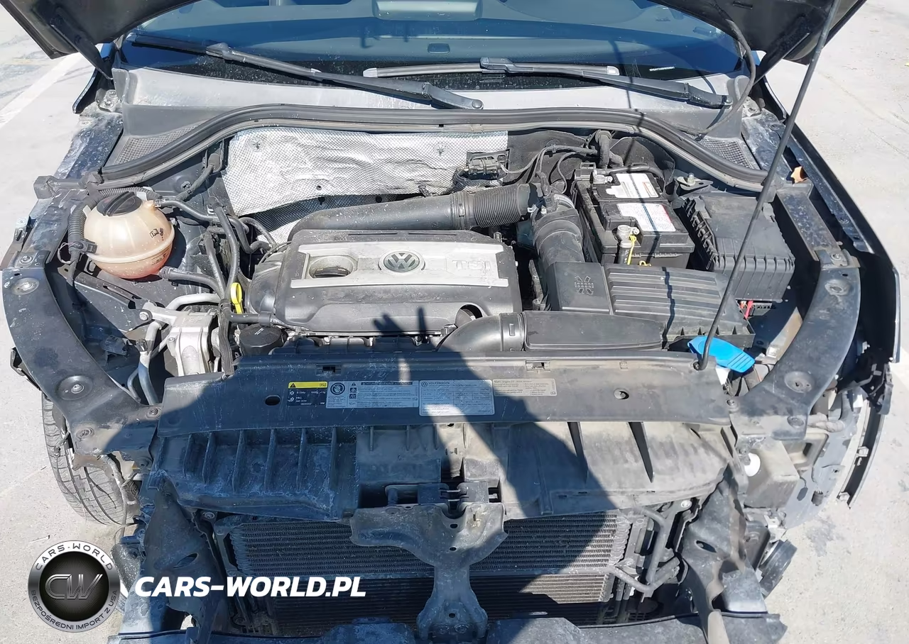 2017 Volkswagen Tiguan 2.0T-2.0T S VIN:WVGAV7AX6HK029041 - 10