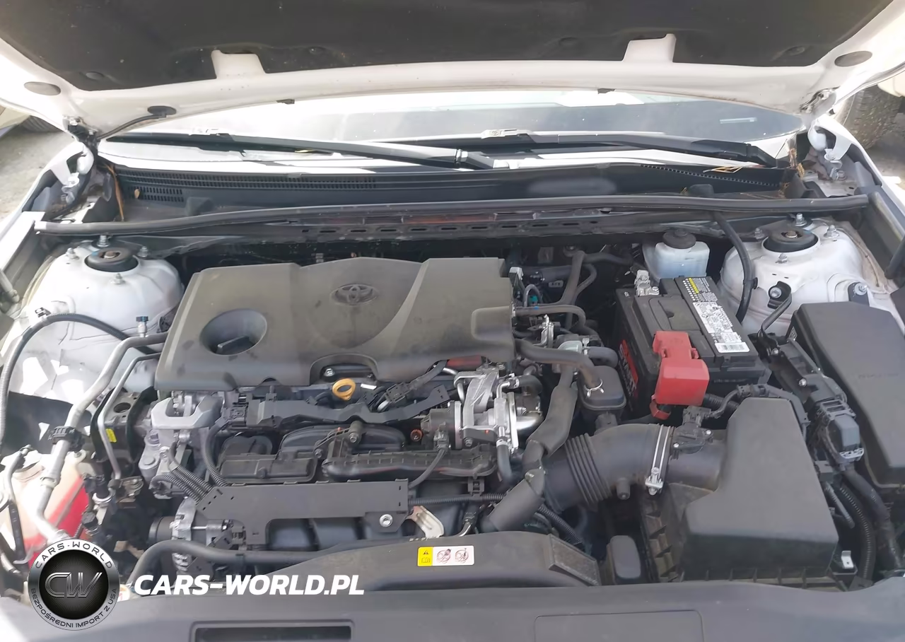 2019 Toyota Camry Se VIN:4T1B11HK4KU797040 - 10