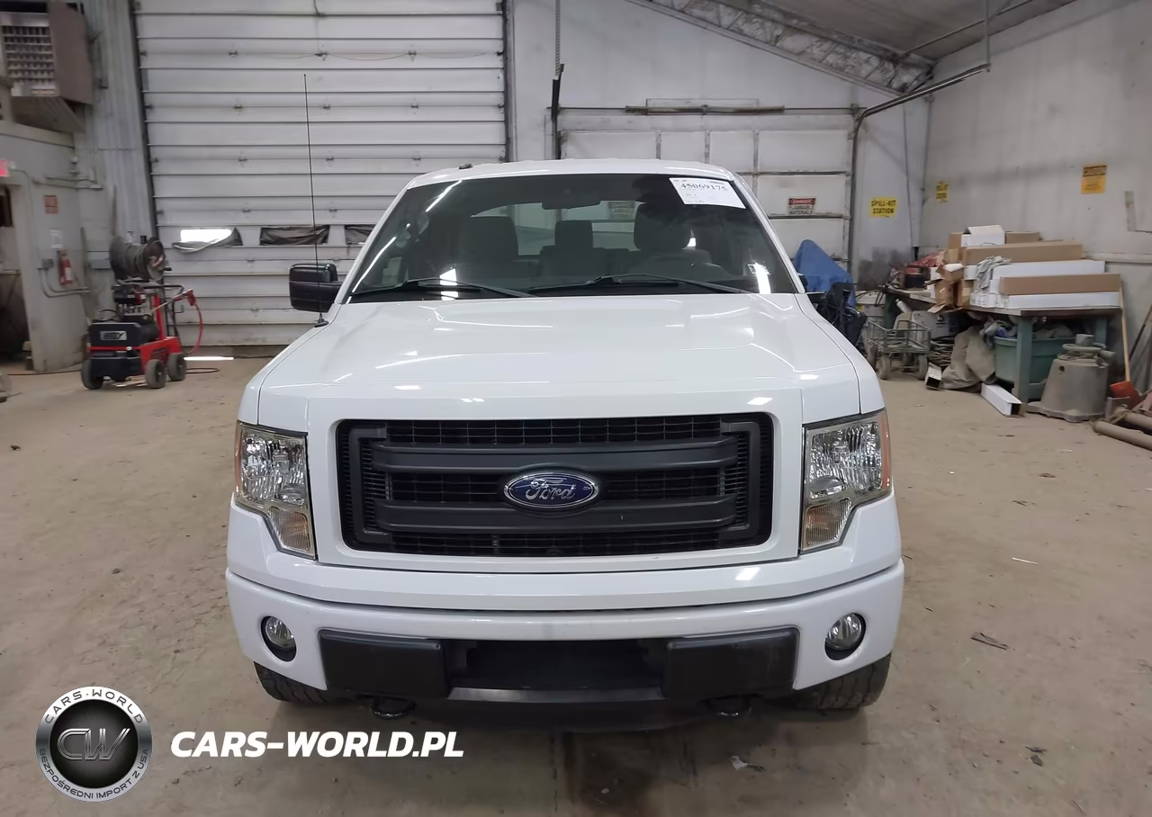 2013 Ford F-150 Stx VIN:1FTFX1EF2DFC70388 - 12