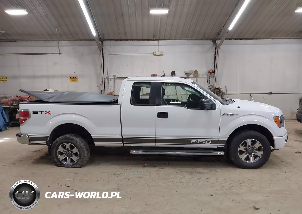 2013 Ford F-150 Stx VIN:1FTFX1EF2DFC70388 - 13