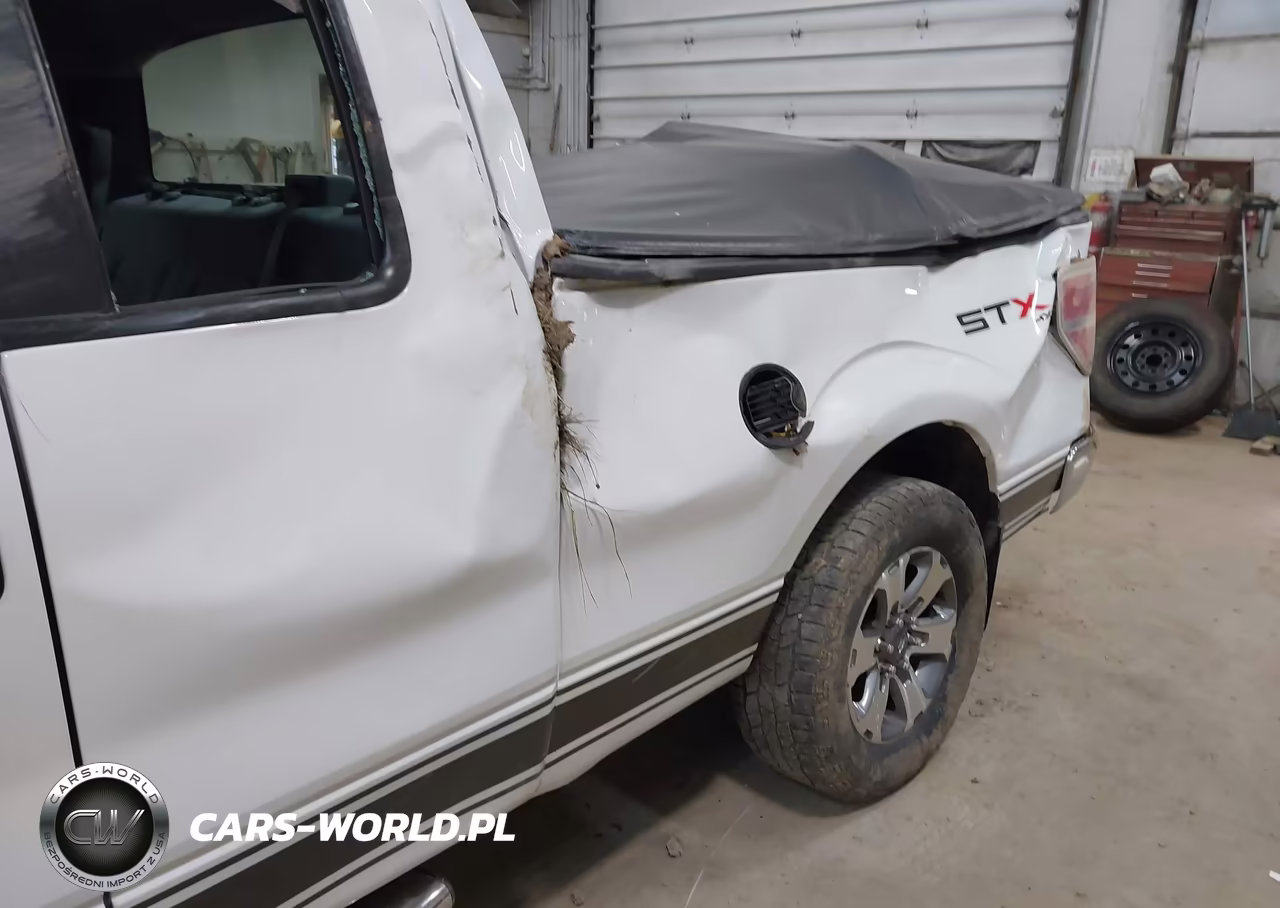 2013 Ford F-150 Stx VIN:1FTFX1EF2DFC70388 - 18