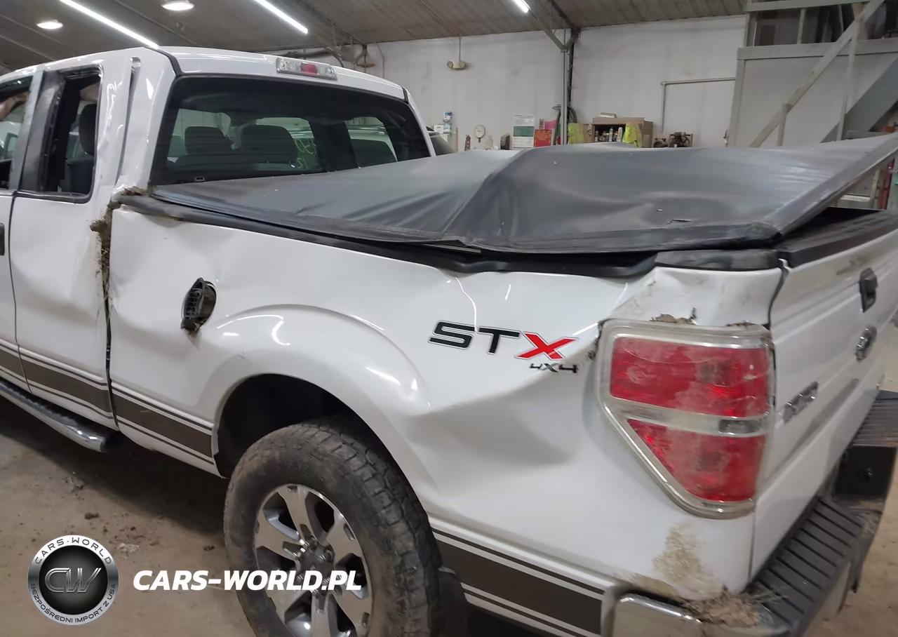 2013 Ford F-150 Stx VIN:1FTFX1EF2DFC70388 - 19