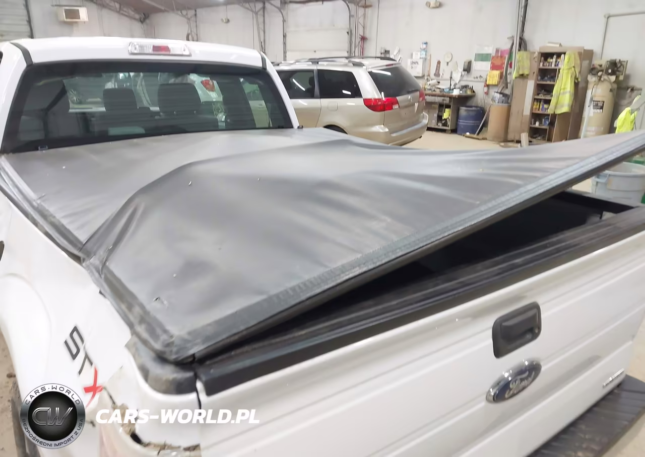 2013 Ford F-150 Stx VIN:1FTFX1EF2DFC70388 - 20