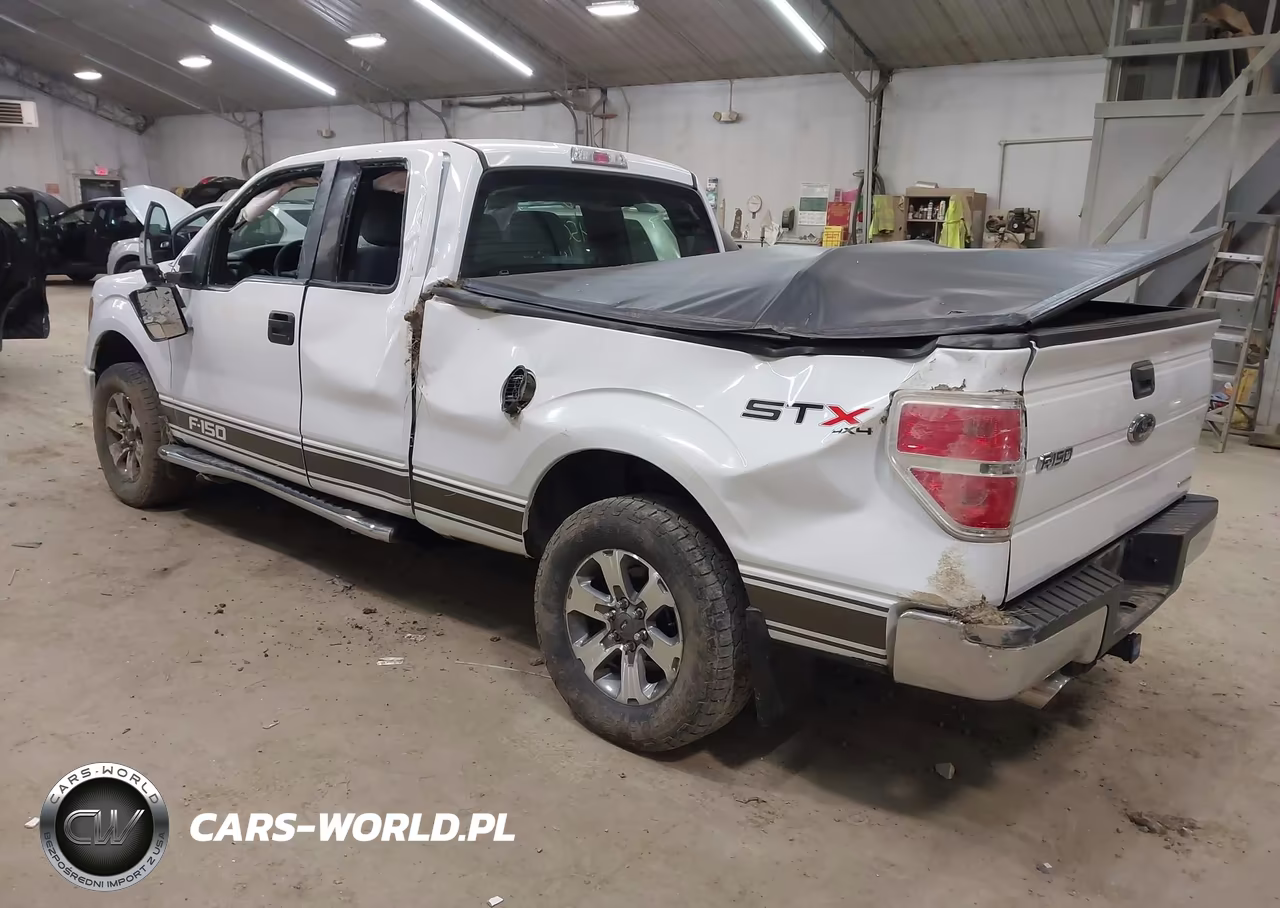 2013 Ford F-150 Stx VIN:1FTFX1EF2DFC70388 - 3