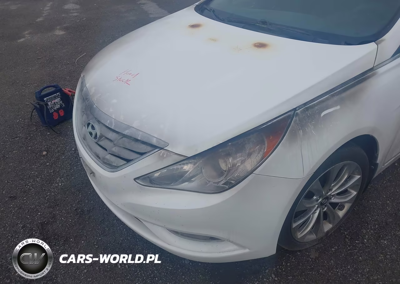 2013 Hyundai Sonata Se VIN:5NPEC4AC9DH574554 - 6