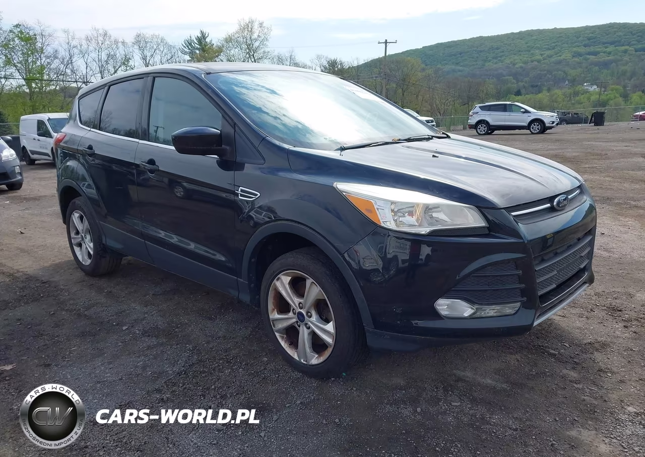 2014 Ford Escape Se