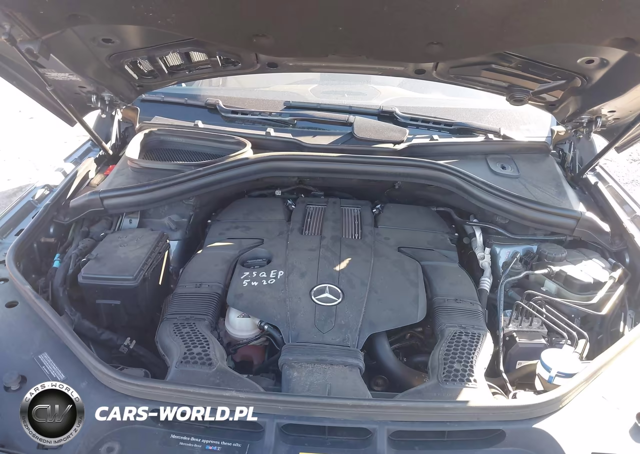 2017 Mercedes-Benz Gls 450 4Matic VIN:4JGDF6EE0HA825383 - 10