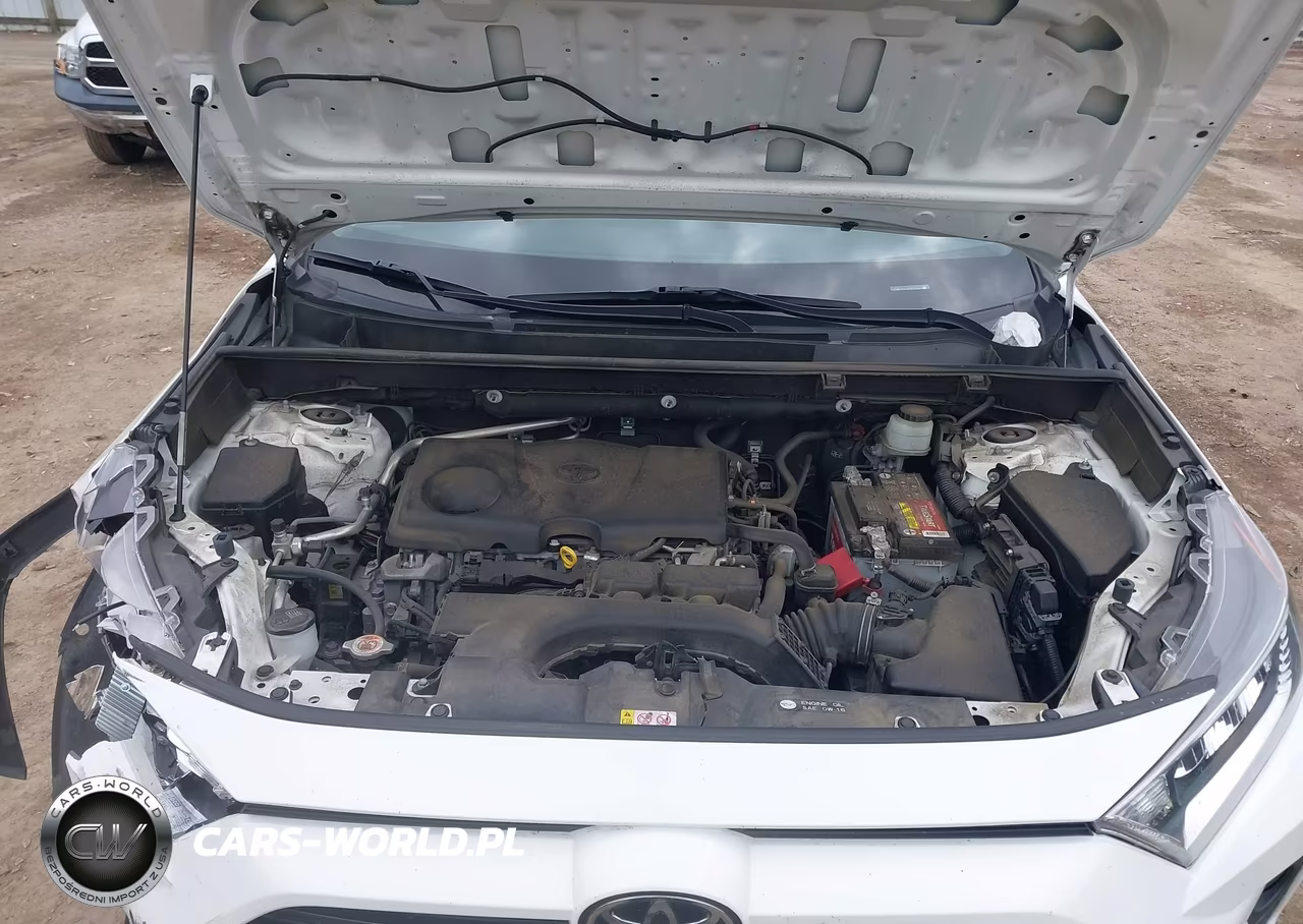 2019 Toyota Rav4 Xle VIN:JTMW1RFV0KD002311 - 10