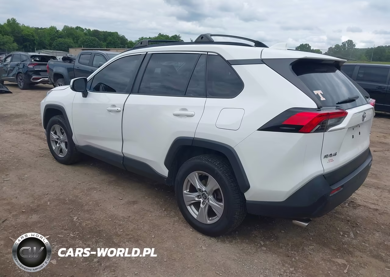 2019 Toyota Rav4 Xle VIN:JTMW1RFV0KD002311 - 3
