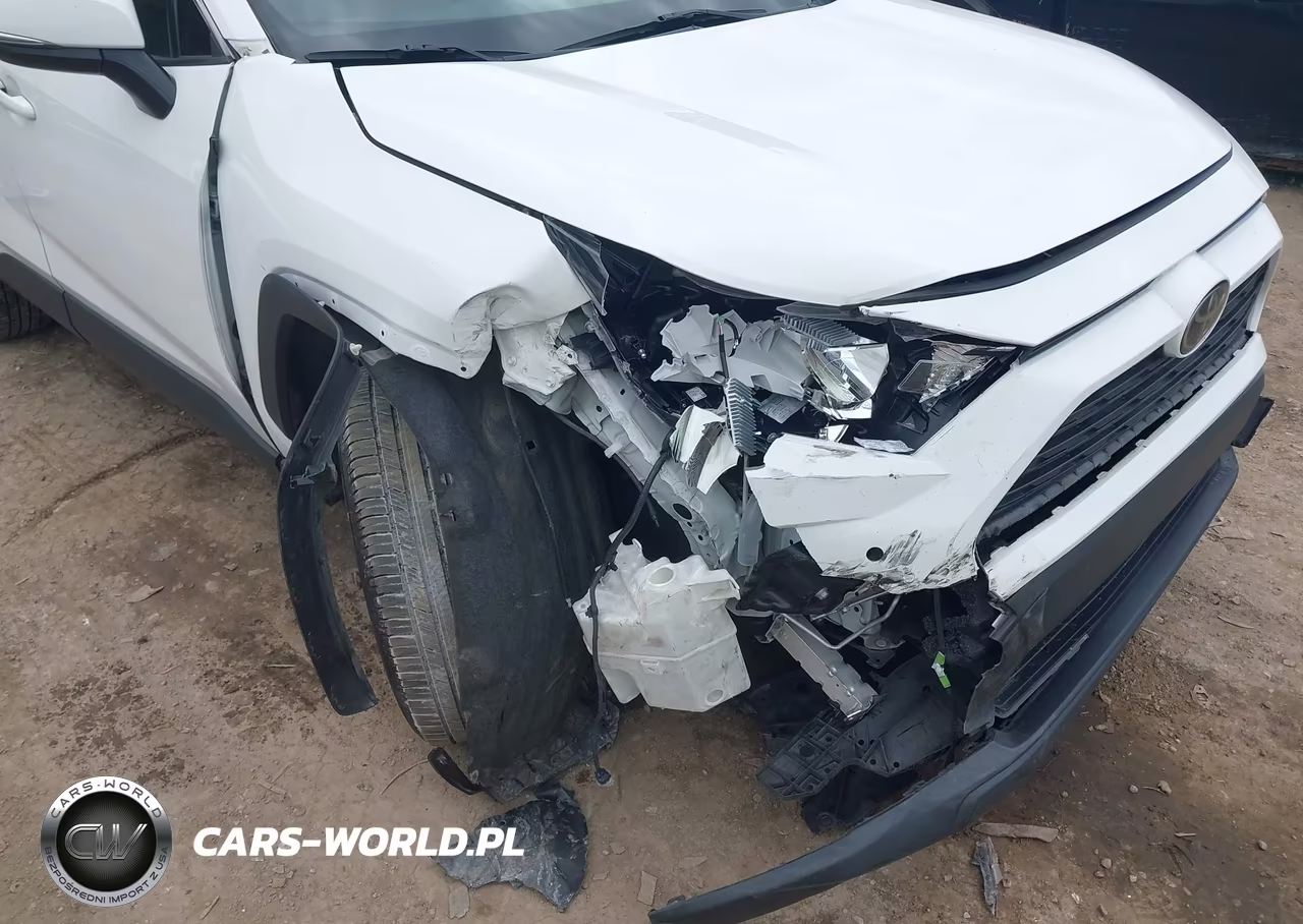 2019 Toyota Rav4 Xle VIN:JTMW1RFV0KD002311 - 6
