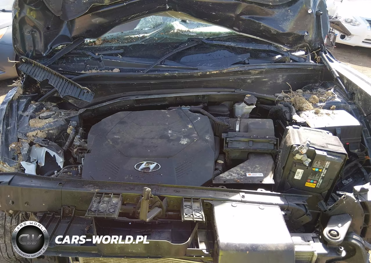 2021 Hyundai Palisade Sel VIN:KM8R2DHE9MU280181 - 10