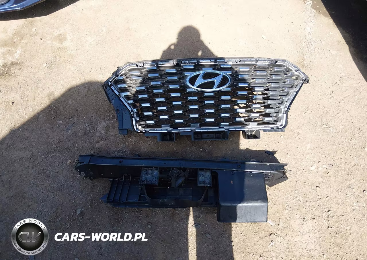 2021 Hyundai Palisade Sel VIN:KM8R2DHE9MU280181 - 11