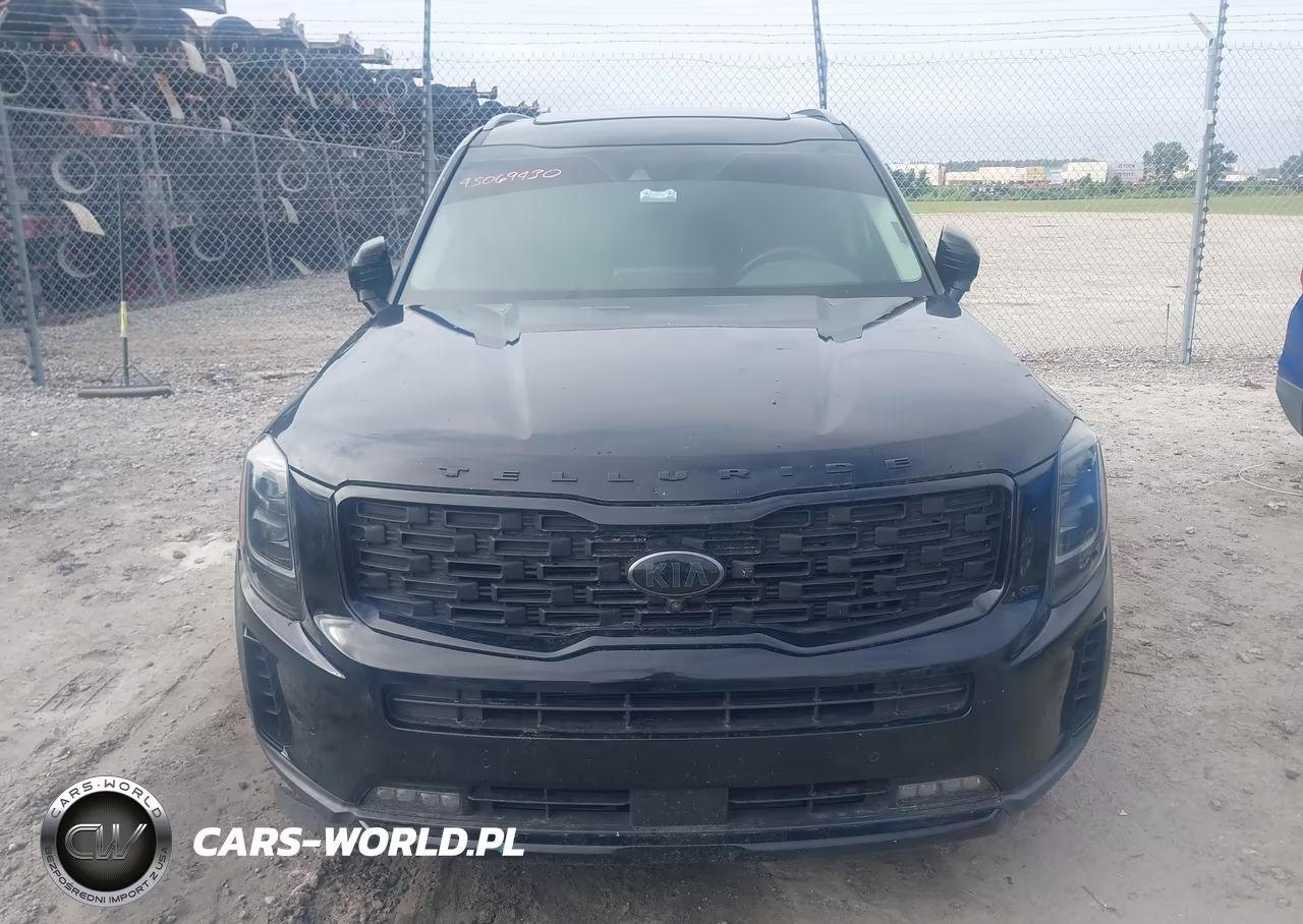 2021 Kia Telluride Sx VIN:5XYP5DHC1MG134618 - 12