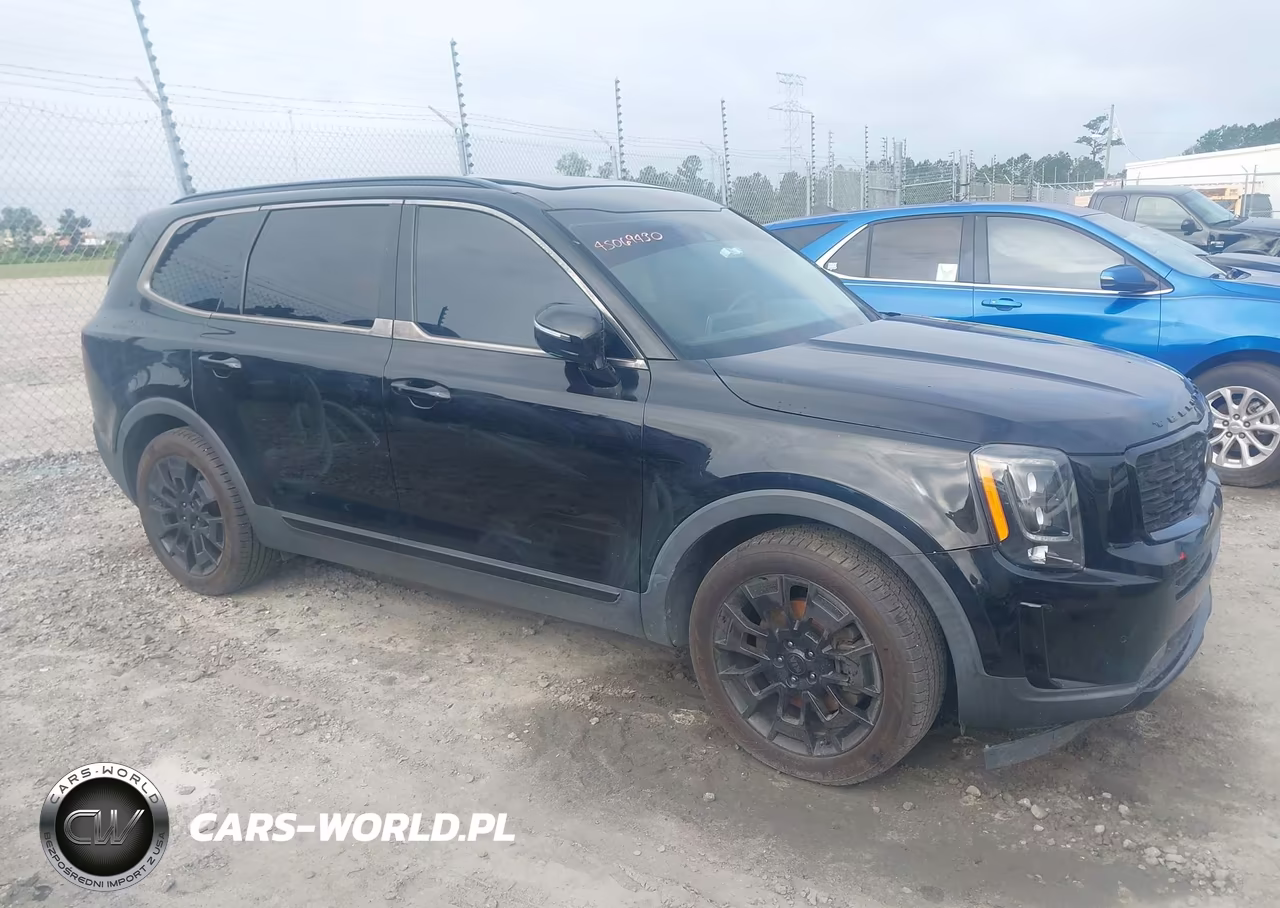 2021 Kia Telluride Sx VIN:5XYP5DHC1MG134618 - 13