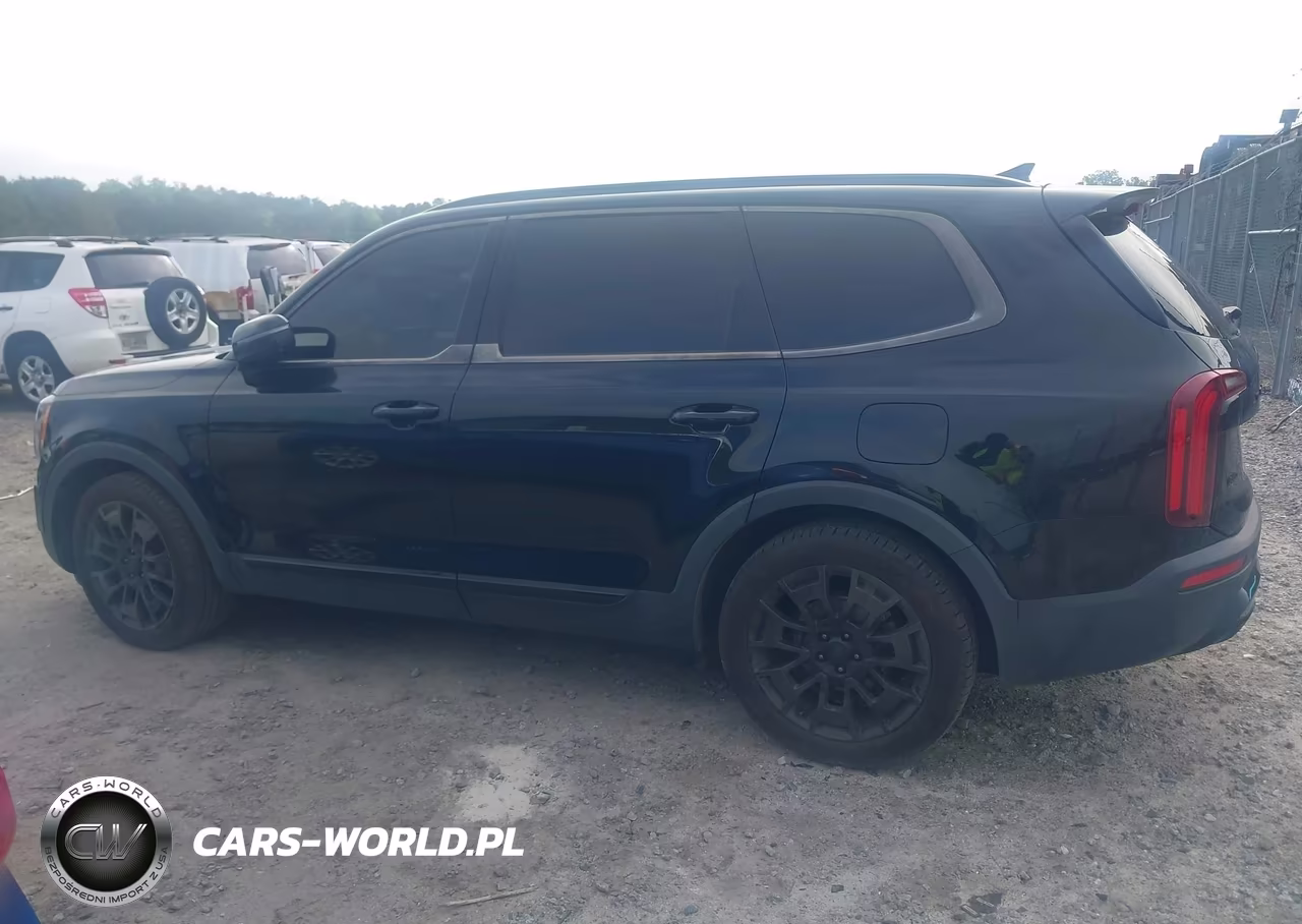 2021 Kia Telluride Sx VIN:5XYP5DHC1MG134618 - 14