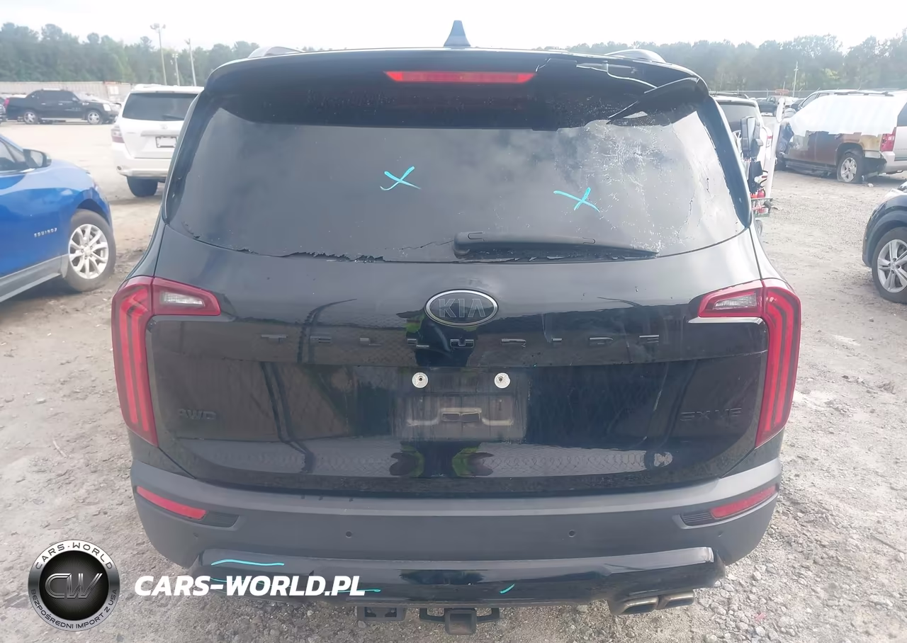2021 Kia Telluride Sx VIN:5XYP5DHC1MG134618 - 16