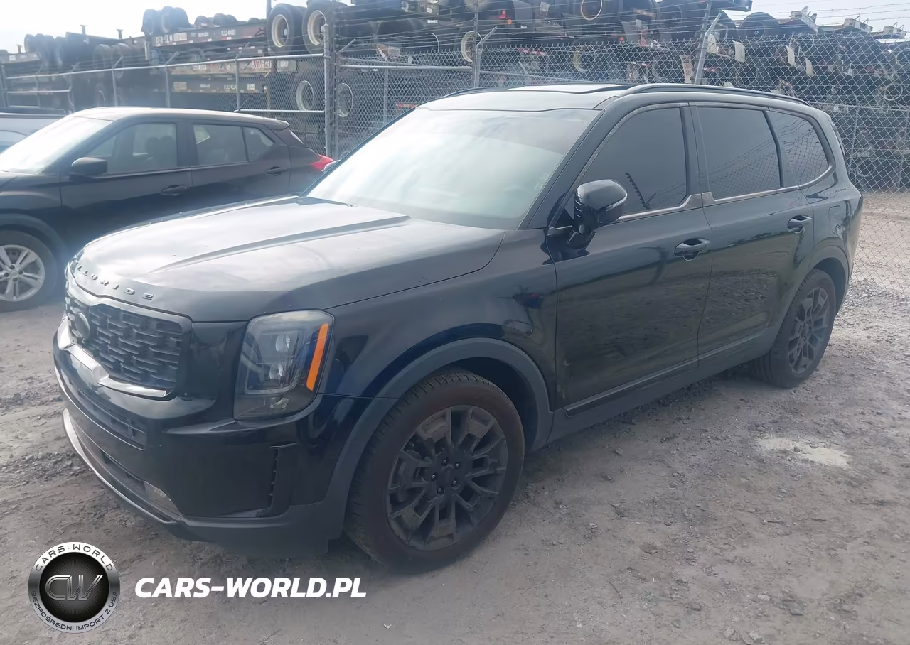 2021 Kia Telluride Sx VIN:5XYP5DHC1MG134618 - 2